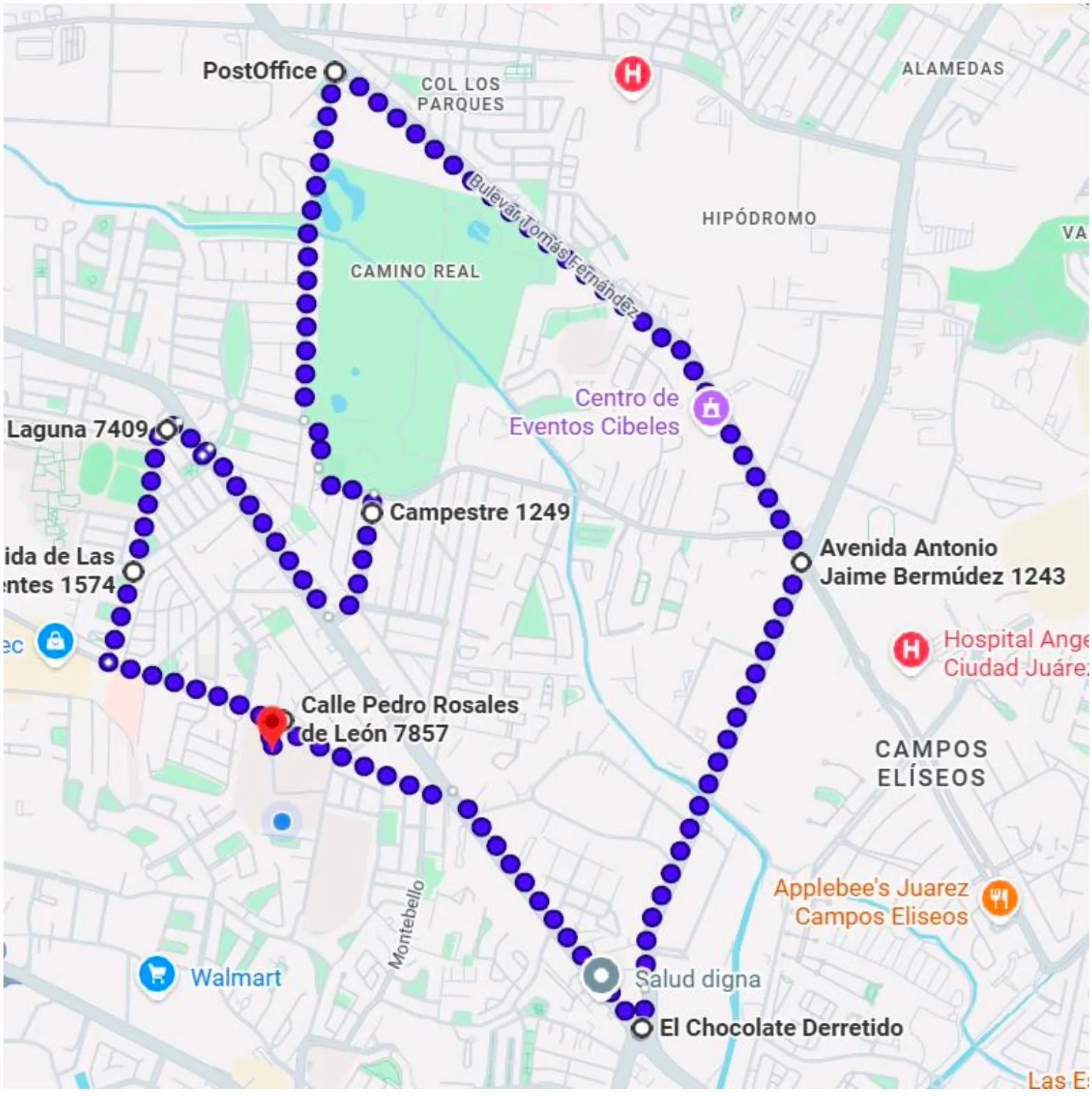 Mapa del recorrido de la carrera: un circuito que sale del Seminario por la Pedro Rosales de León y regresa por la misma calle.